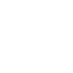 Stylish & Versatile Design