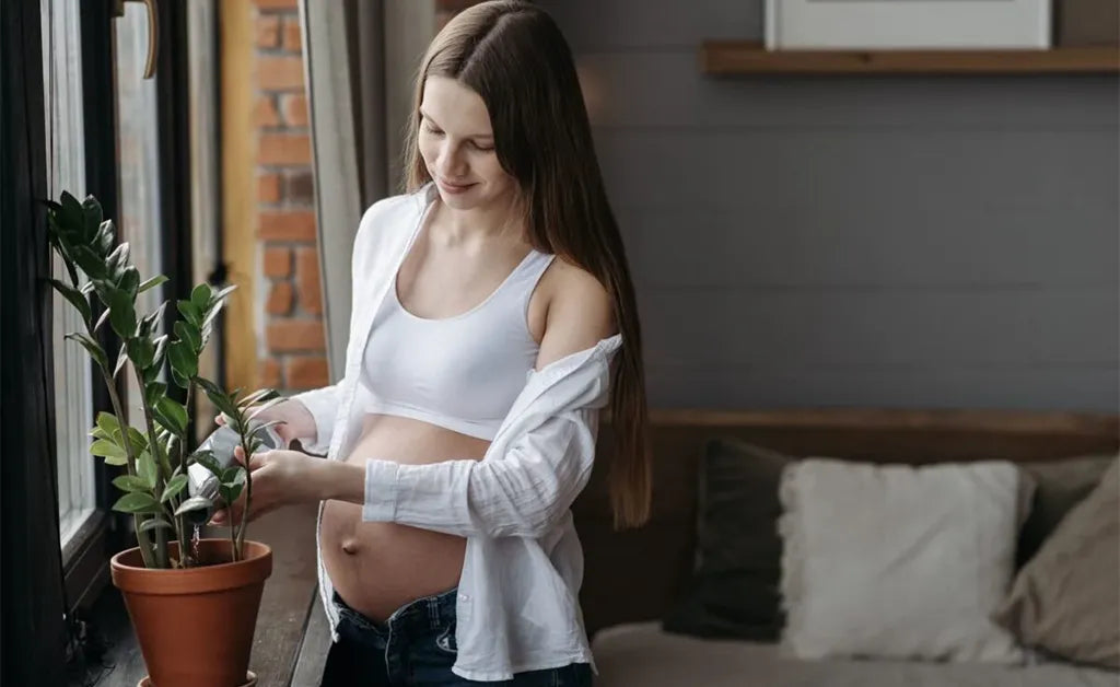 Second Trimester Pregnancy